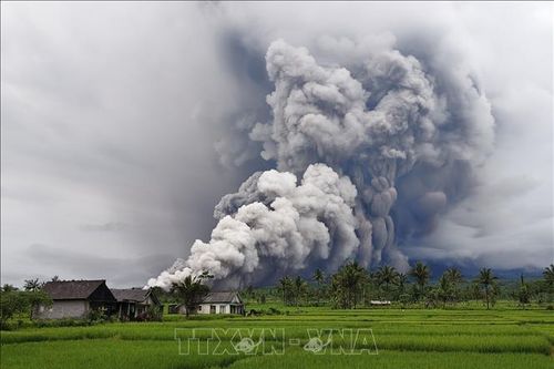 Indonesia nâng cảnh báo do núi lửa Semeru phun trào