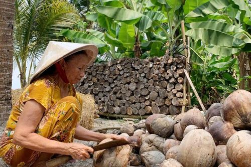 Dừa rớt giá, nỗi lo kéo dài