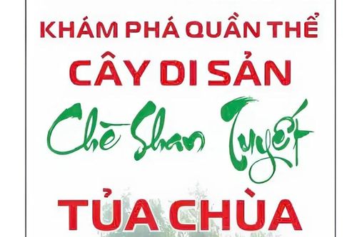 Điện Biên số hóa đến từng gốc cây trồng