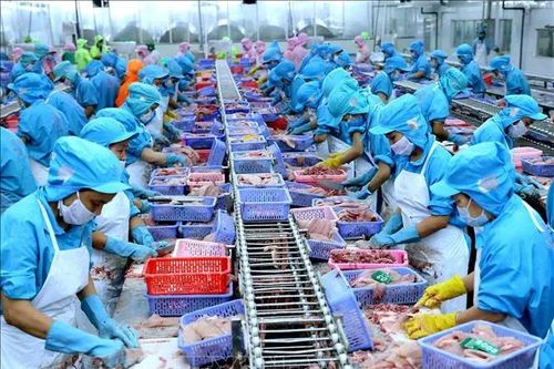 Xuất khẩu thủy sản trong quý 1 đạt 2,64 tỷ USD