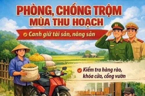 Xã Trường Xuân: Tăng cường phòng, chống trộm trong mùa thu hoạch