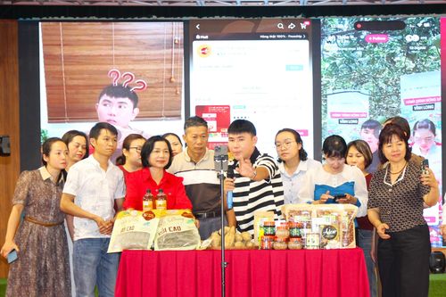 Nâng cao kỹ năng quảng bá, bán hàng qua thương mại điện tử