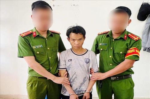 Bắt giữ, khởi tố các đối tượng vi phạm pháp luật