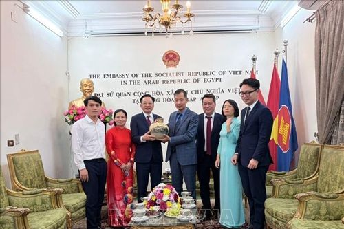 Việt Nam và Ai Cập tăng cường hợp tác trong lĩnh vực hóa chất và phân bón