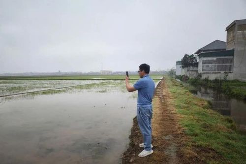 Công nghệ giúp nông dân chủ động chống mặn, phát triển nông nghiệp xanh