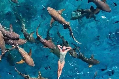 Ánh Viên bơi cùng cá mập ở Maldives