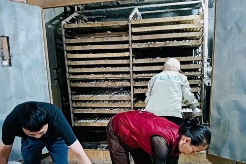 Xã Phúc Thọ nâng tầm nông nghiệp từ con giống gia cầm