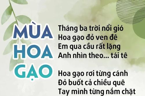 Mùa hoa gạo