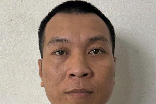 Triệt phá đường dây mua bán động vật hoang dã