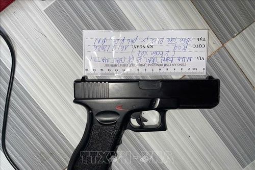 Triệt phá đường dây ma túy, thu giữ nhiều vũ khí