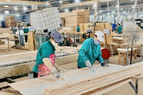 Gia Lai 'chọn mặt gửi vàng', kiến tạo lực lượng doanh nghiệp dẫn dắt