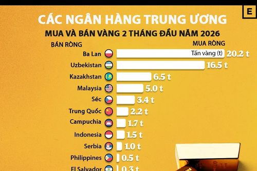 Toàn cảnh mua bán vàng của các ngân hàng trung ương trong 2 tháng đầu năm 2026