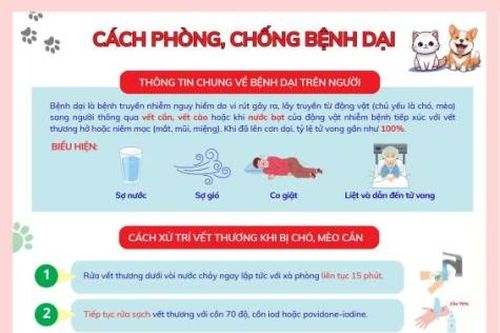 Nguy cơ tiềm ẩn từ các cơ sở giết mổ chó không an toàn