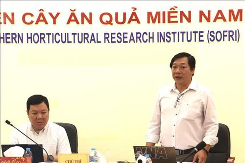 Tăng năng lực kiểm soát Cadimi, vàng O trong canh tác sầu riêng