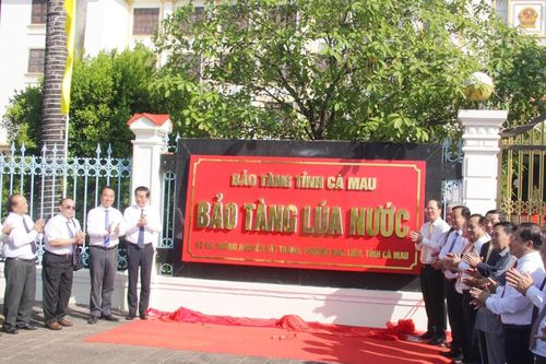 Thành lập Bảo tàng lúa nước và công bố phương án kiến trúc Biểu tượng tôn vinh lúa nước |