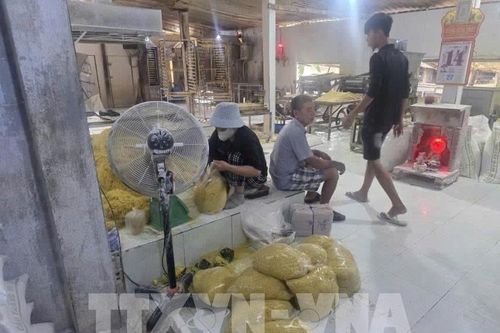 Triệt phá cơ sở sản xuất mì tươi chứa chất cấm, tiêu thụ hơn 2.800 tấn