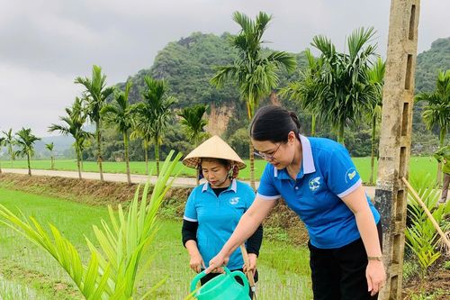 Nhiều công trình, phần việc chào mừng Đại hội đại biểu Phụ nữ toàn quốc, lần thứ XIV