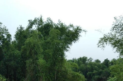 Mực nước các sông hạ thấp, trạm bơm khó vận hành