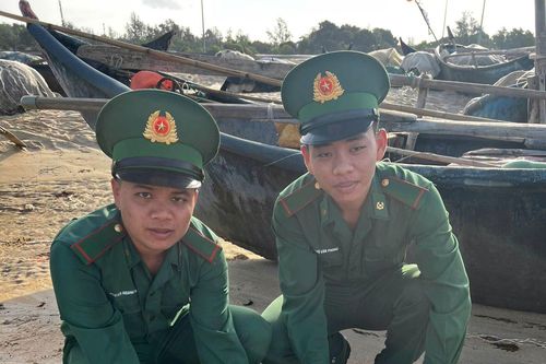 TP Hồ Chí Minh: Bàn giao và thả 2 cá thể vích về với môi trường tự nhiên