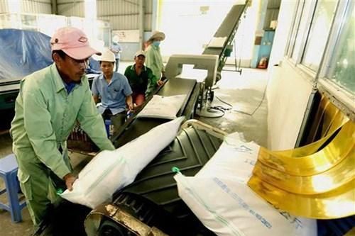 Giá gạo Việt Nam tăng mạnh, ngũ cốc Mỹ đồng loạt giảm
