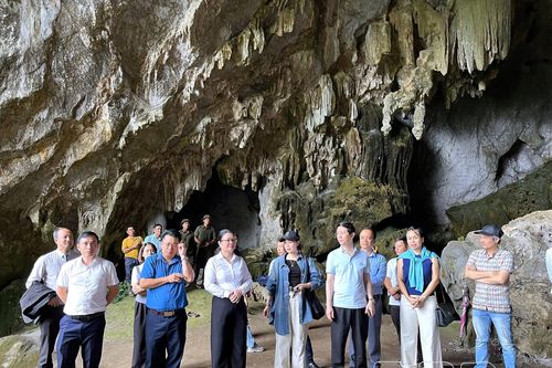 Các nhà đầu tư khảo sát lĩnh vực du lịch - dịch vụ - nghỉ dưỡng tại Điện Biên