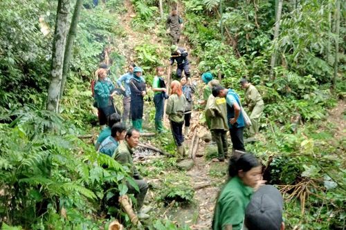 Huy động hơn 100 người tìm kiếm người đàn ông mất tích khi đi rừng
