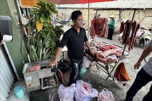 Triệt phá đường dây làm giả hơn 15 tấn thịt bò từ thịt heo nái