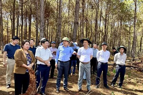 Gia Lai tăng tốc mở không gian phát triển mới khu vực phía Tây