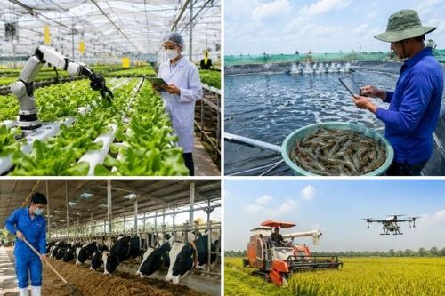 Tập trung phát triển nông nghiệp công nghệ cao, hữu cơ tuần hoàn