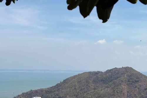 Phường Vũng Tàu khơi thông điểm nghẽn phòng chống cháy rừng, du lịch
