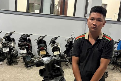 Bắt đối tượng trộm gần 40 triệu đồng trong 2 con heo đất