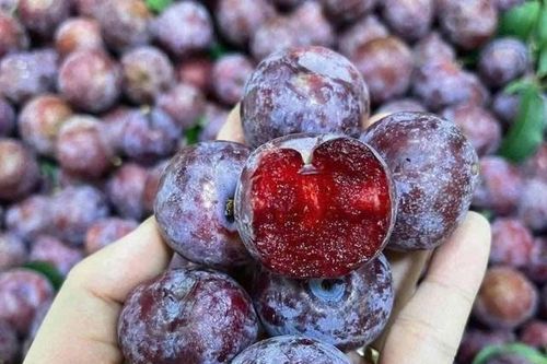Quả mận có tốt không và những ai nên ăn mận?