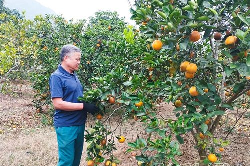 Chuyển đổi sản xuất để gia tăng giá trị nông sản