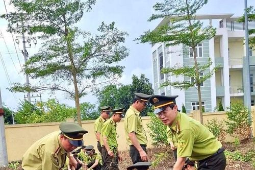 Chi cục Kiểm lâm Hải Phòng sôi nổi các hoạt động chào mừng ngày truyền thống 21/5