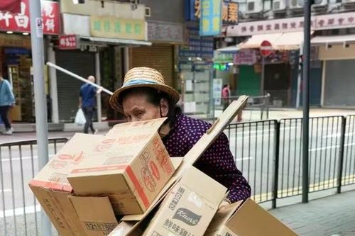 Câu chuyện về các 'cụ già carton' giữa Hồng Kông hoa lệ