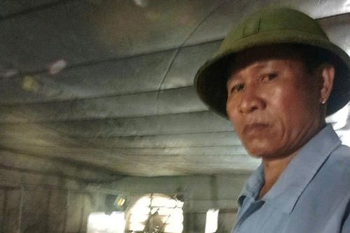 Cựu chiến binh làm giàu từ rừng và trang trại