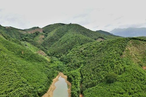 Thanh Hóa: Không đồng ý việc đưa gần 13 ha đất vào đấu giá mỏ đất san lấp