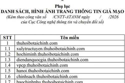 Nhan nhản website mạo danh, Bộ Tài chính đề nghị Bộ Công an vào cuộc xử lý