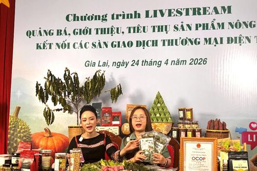 Chuẩn hóa năng lực nghề nghiệp cho nhà sáng tạo nội dung