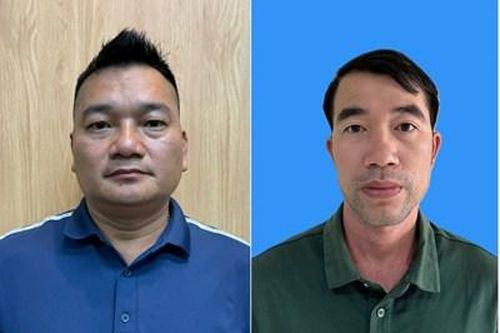 Khởi tố 3 đối tượng trong đường dây buôn bán vảy tê tê