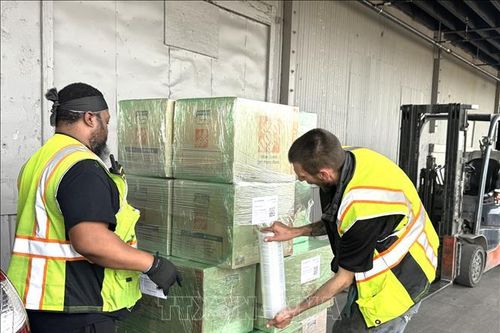 Thị trường việc làm Mỹ bất ngờ khởi sắc