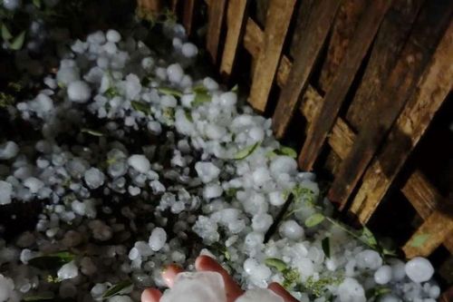 Tuyên Quang: Kích hoạt các phương án ứng phó với thời tiết cực đoan