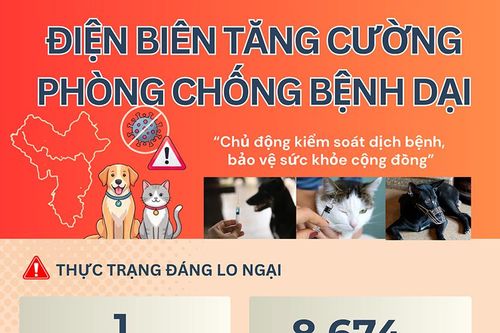 (Infographic) Điện Biên tăng cường phòng chống bệnh dại