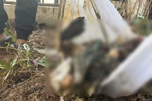 Xác định danh tính thi thể cháu bé phân hủy trong bệnh viện