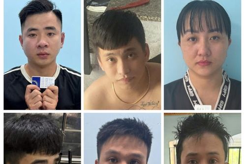 Triệt xóa hai đường dây ma túy, bắt giữ 9 đối tượng liên quan