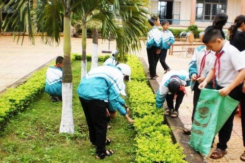Môi trường xanh - Cốt lõi cho sự phát triển hài hòa