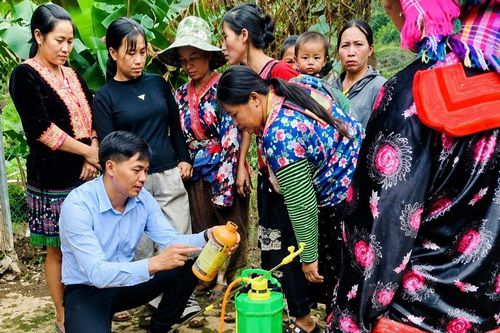 Học nghề để tạo sinh kế