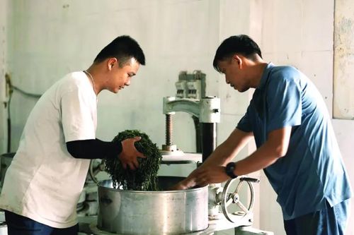 Mạch dẫn đưa khoa học công nghệ vào cuộc sống