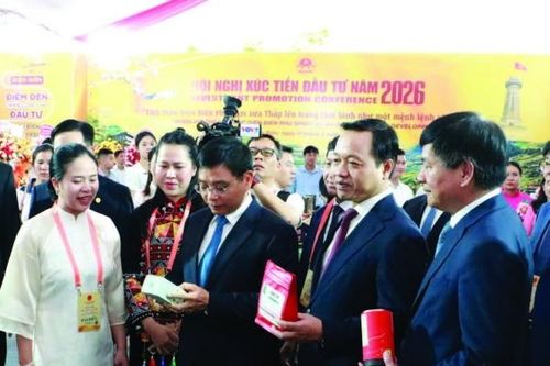 Đánh thức tiềm năng nông nghiệp bằng tư duy liên kết chuỗi