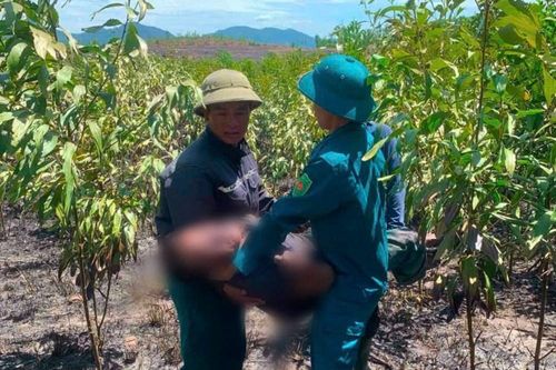 Phát hiện hai vợ chồng tử vong sau vụ cháy rừng ở Hà Tĩnh